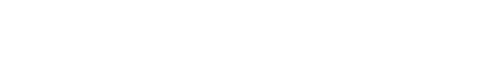 Finclass
